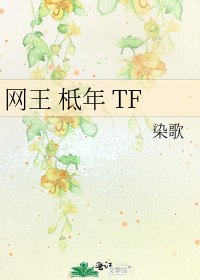 《网王 柢年 TF》