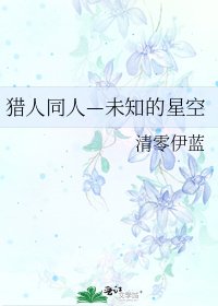 《猎人同人—未知的星空》