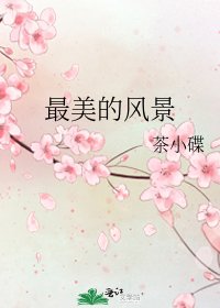 《最美的风景》