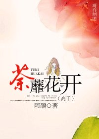 荼蘼花开犹多情（高干）