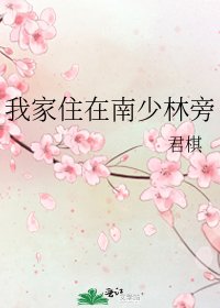 《我家住在南少林旁》