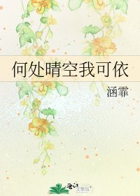 《何处晴空我可依》