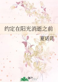 《约定在阳光消逝之前》
