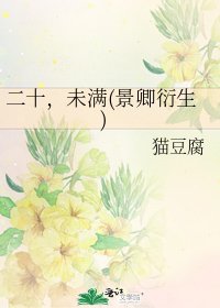 二十，未满(景卿衍生)