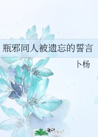 瓶邪同人被遗忘的誓言