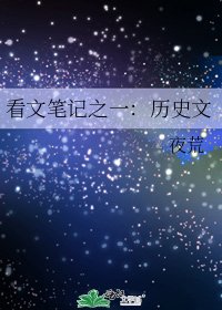 《看文笔记之一:历史文》