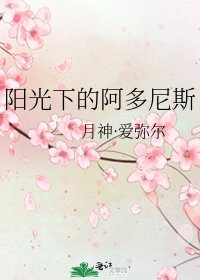 《阳光下的阿多尼斯》