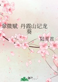 《翠微赋 丹霞山记龙葵》