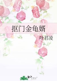 《抠门金龟婿》