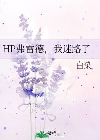 《HP弗雷德,我迷路了》