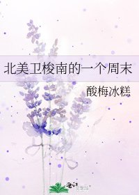 《北美卫梭南的一个周末》