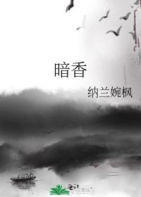 《暗香》