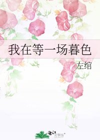 《我在等一场暮色》