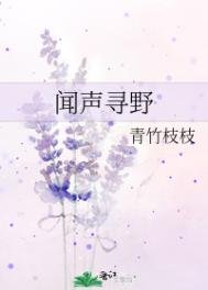 《闻声寻野》