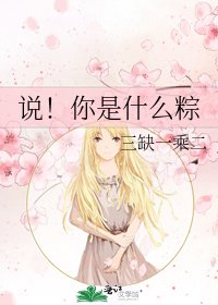 《说!你是什么粽》