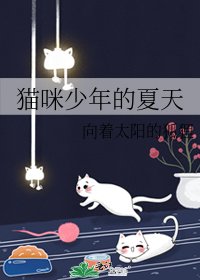 《猫咪少年的夏天》