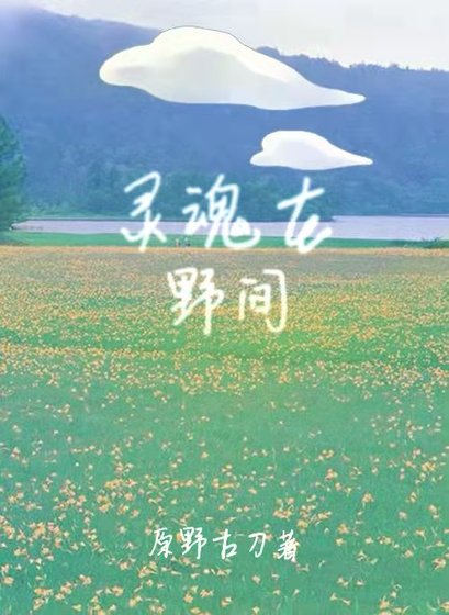 灵魂在野间