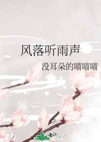 《风落听雨声》