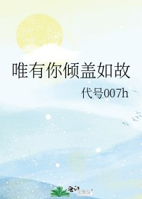 《唯有你倾盖如故》