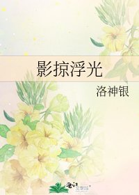 《影掠浮光》