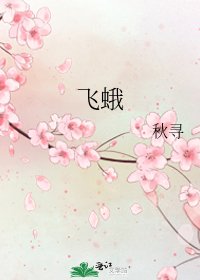 《飞蛾》