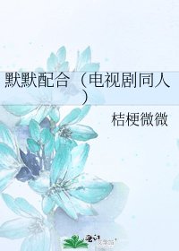 默默配合（电视剧同人）