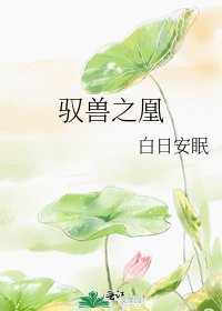 《驭兽之凰》