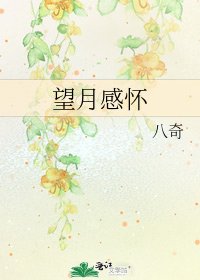 《望月感怀》