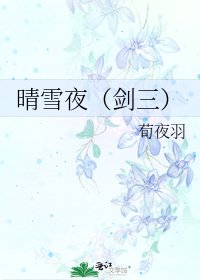 《晴雪夜(剑三)》