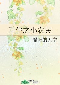 《重生之小农民》