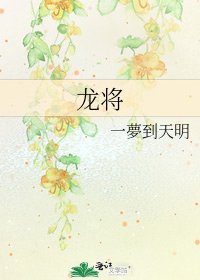 龙将