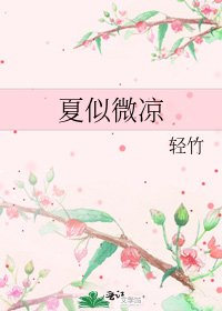 《夏似微凉》