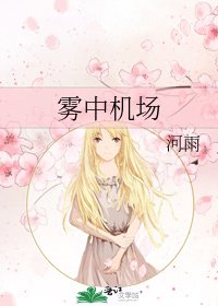《雾中机场》