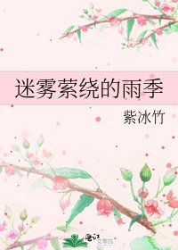 《迷雾萦绕的雨季》