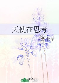 《天使在思考》