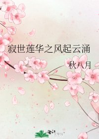 《寂世莲华之风起云涌》
