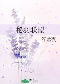 《秘羽联盟》