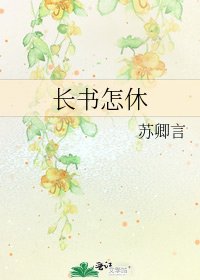 《长书怎休》