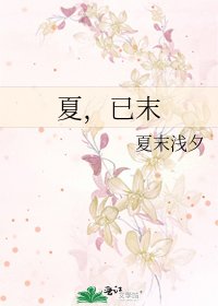 《夏,已末》