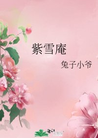 《紫雪庵》