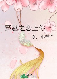 《穿越之恋上你.》