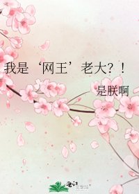《我是‘网王’老大?!》