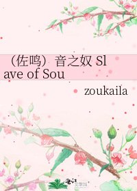 《(佐鸣)音之奴 Slave of Sound》