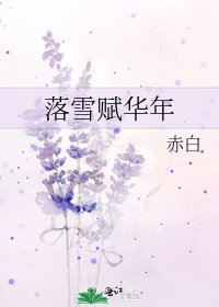 《落雪赋华年》