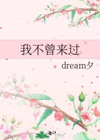 《我不曾来过》