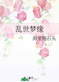 《乱世梦缘》