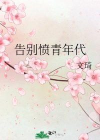 《告别愤青年代》