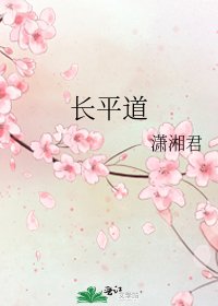 《长平道》