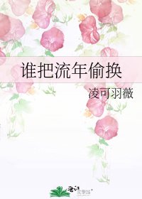 《谁把流年偷换》