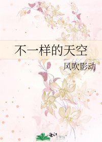 《不一样的天空》